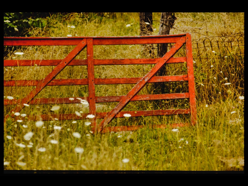 Red_Gate - JCDAILEY